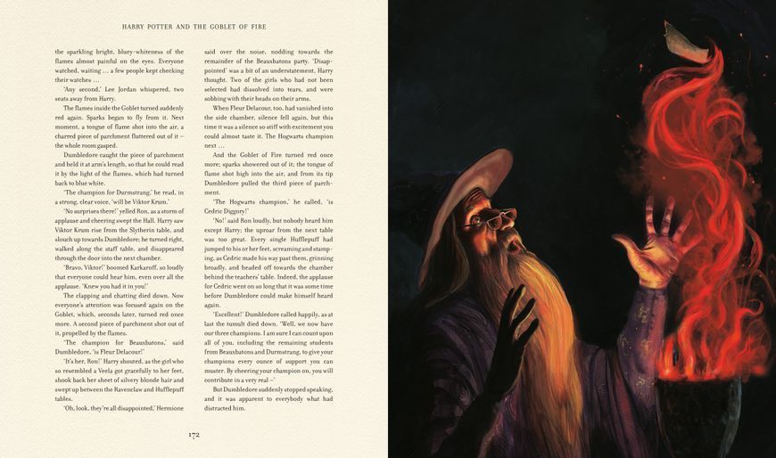 Harry Potter and the Goblet of Fire Illustrated Edition 10311023553 фото