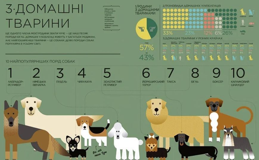Я і світ. Історія в інфографіці 10311008613 фото