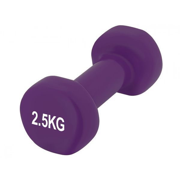 Гантелі вінілові PowerPlay 4125 Achilles 2*2.5 кг. Фіолетові (пара - 2шт.) + Резинка для фітнесу 7,5кг PP_4125_2.5kg_2in фото