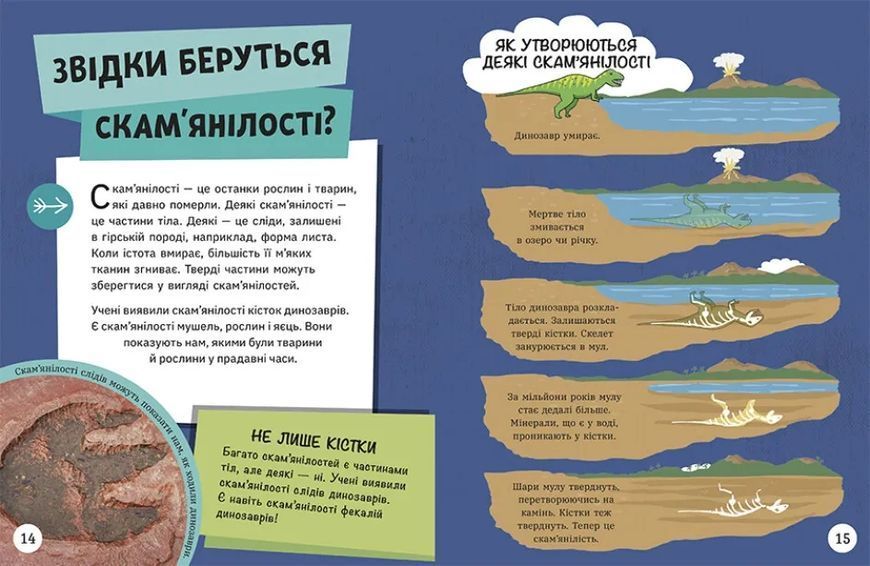 Довколапитань. Енциклопедія юних розумників 10311021403 фото