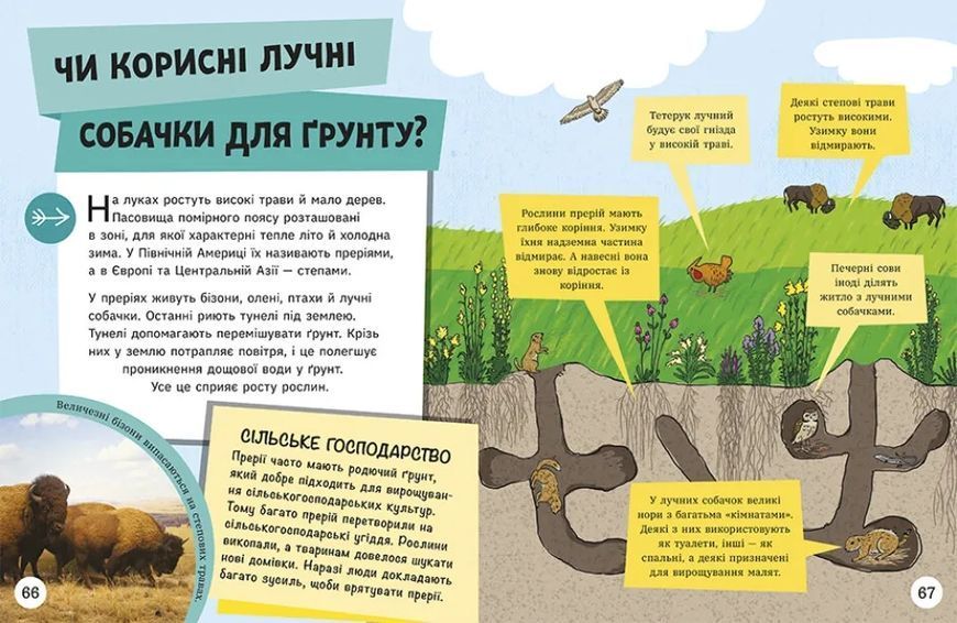 Довколапитань. Енциклопедія юних розумників 10311021403 фото