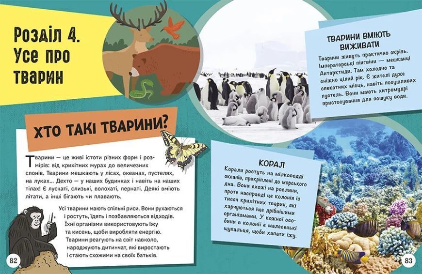 Довколапитань. Енциклопедія юних розумників 10311021403 фото
