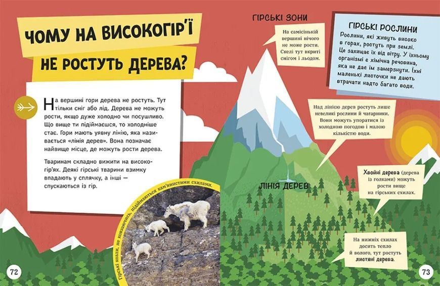 Довколапитань. Енциклопедія юних розумників 10311021403 фото