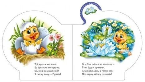 Все про всіх : Все про каченятко 10311017532 фото