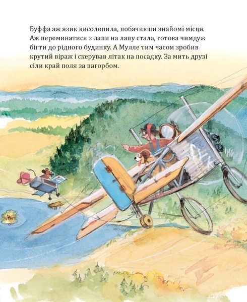 Мулле Мек зводить будинок 10311005162 фото