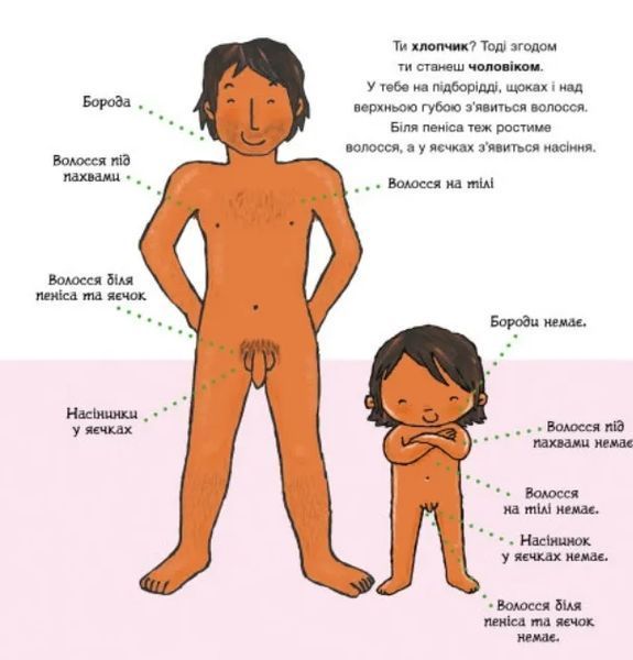 Звідки беруться діти? Дітям про інтимне 10311012183 фото
