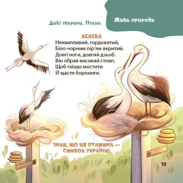 Віршенята-загадки для малят. Матусина бібліотечка 10311032816 фото