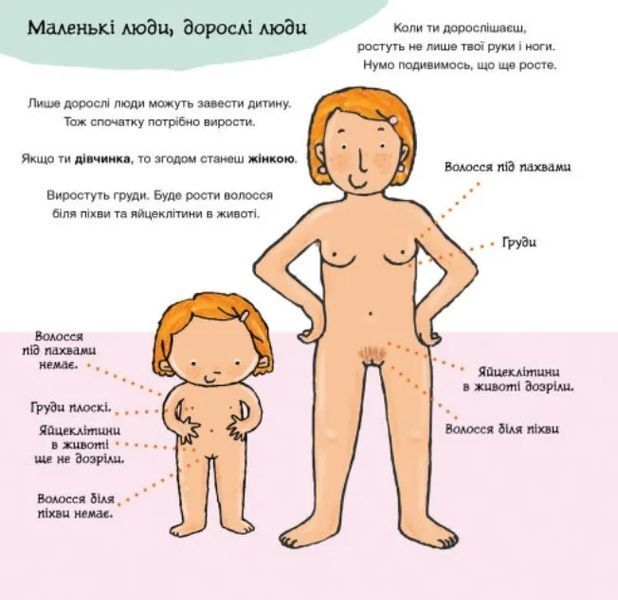 Звідки беруться діти? Дітям про інтимне 10311012183 фото
