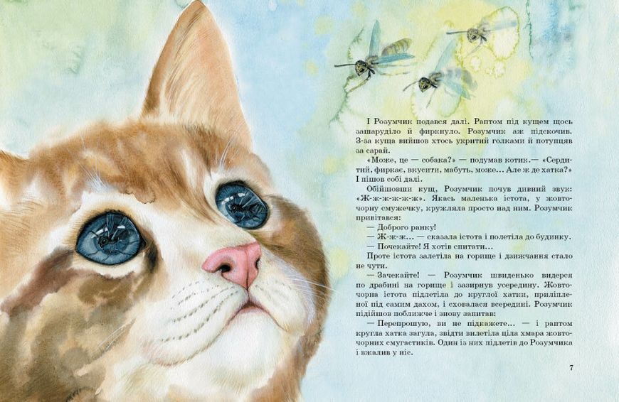 Коти. Такі, як ти 10311024565 фото