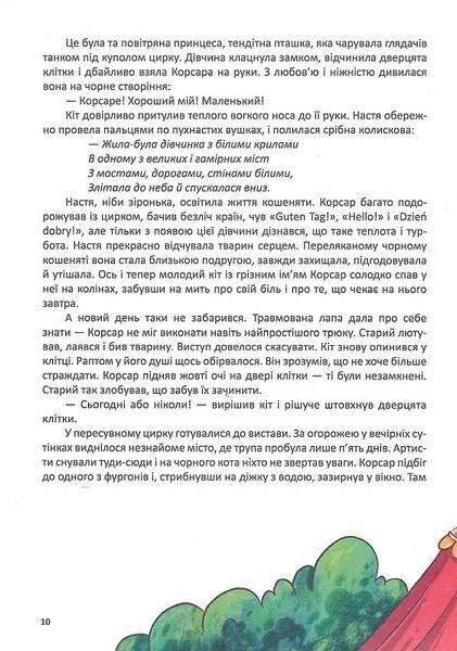 Корсар, або пухнаста історія з кігтями 10311022122 фото