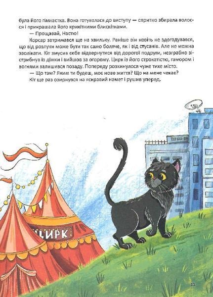 Корсар, або пухнаста історія з кігтями 10311022122 фото