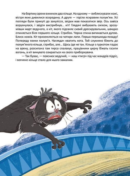 Корсар, або пухнаста історія з кігтями 10311022122 фото