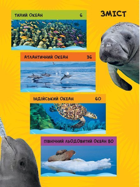 Моя перша енциклопедія. Океани (National Geographic Kids) 10311024762 фото