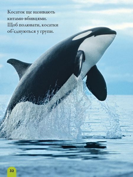 Моя перша енциклопедія. Океани (National Geographic Kids) 10311024762 фото