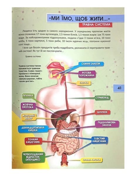 Тіло людини. Перша шкільна енциклопедія 10311021935 фото