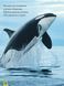 Моя перша енциклопедія. Океани (National Geographic Kids) 10311024762 фото 3