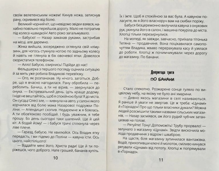 НЛО за селом 10311005870 фото