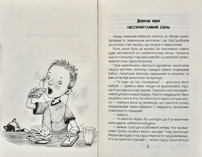 НЛО за селом 10311005870 фото