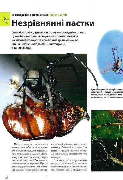 Велика книга комах 10311021272 фото
