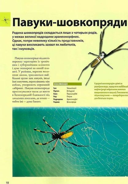 Велика книга комах 10311021272 фото