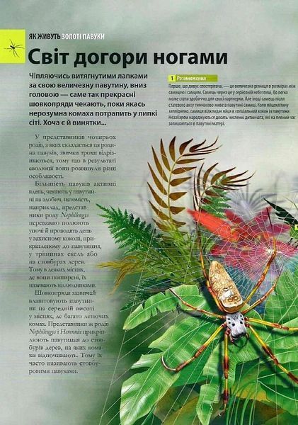 Велика книга комах 10311021272 фото