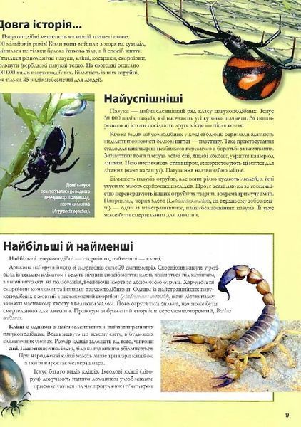 Велика книга комах 10311021272 фото