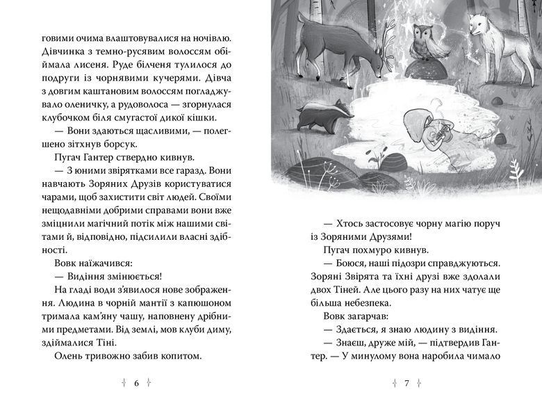 Зоряні Друзі. Таємне заклинання. Книга 3 10311032034 фото