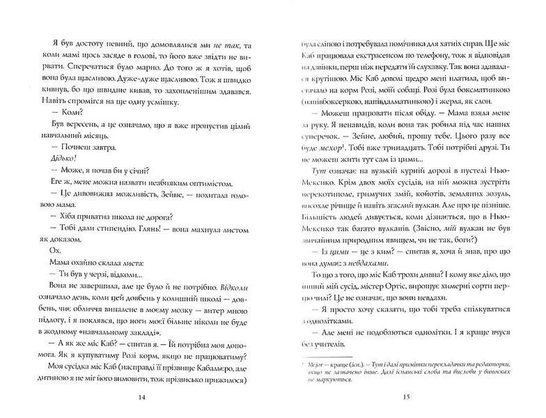 Гонець бурі. Книга 1 10311021791 фото