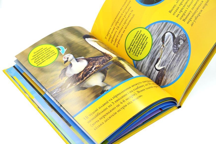 National Geographic Kids. Моя перша енциклопедія. Птахи 10311029395 фото