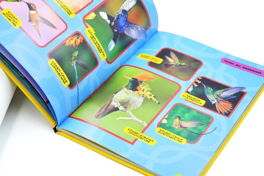 National Geographic Kids. Моя перша енциклопедія. Птахи 10311029395 фото