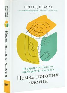 Немає поганих частин. Як відновити цілісність і вилікуватися від травм 10311029922 фото