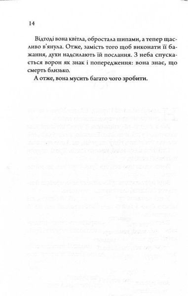 Медова Відьма 10311032565 фото