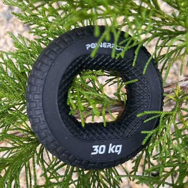 Еспандер кистьовий силіконовий PowerPlay PP-4333 Hand Grip Hard 30 кг. Чорний PP_4333_Black_30kg фото