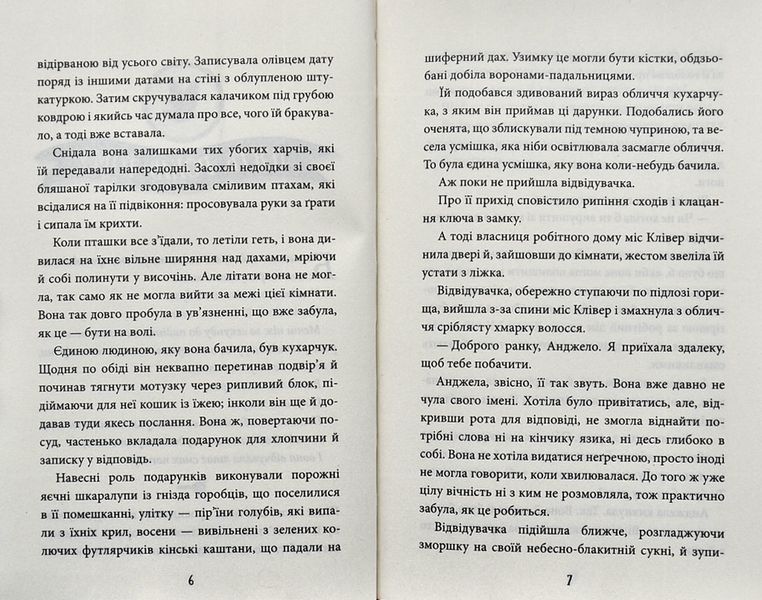 Небоцирк. Трилогія. Техносерце. Книга 3 10311004849 фото