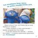 Смурфи. Колекція історій. Цікаві смурфосторії 10311031775 фото 5