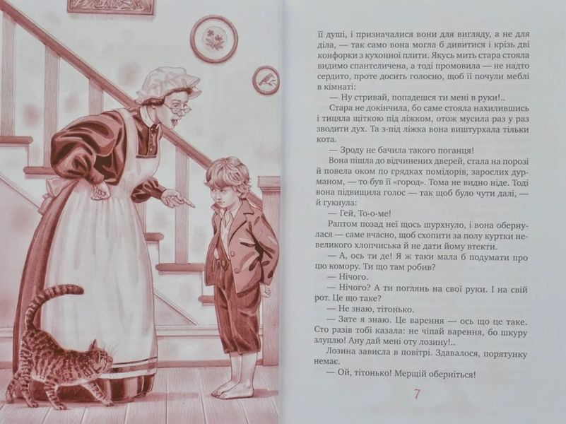 Пригоди Тома Сойєра (Рідна мова, тверда обкладинка) 1031166664 фото