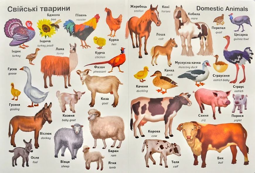 Перші слова. Тварини + англійська 1031106658 фото