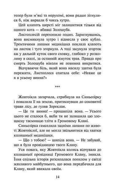 Коти - вояки. Сила трьох. Книга 6. Сходить сонце 10311018194 фото