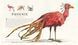 Fantastic Beasts and Where to Find Them Illustrated Edition 10311023557 фото 6