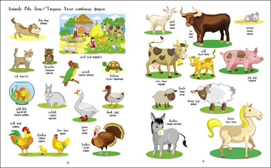 English for kids: Книжка англійських слів у малюнках 10311019663 фото