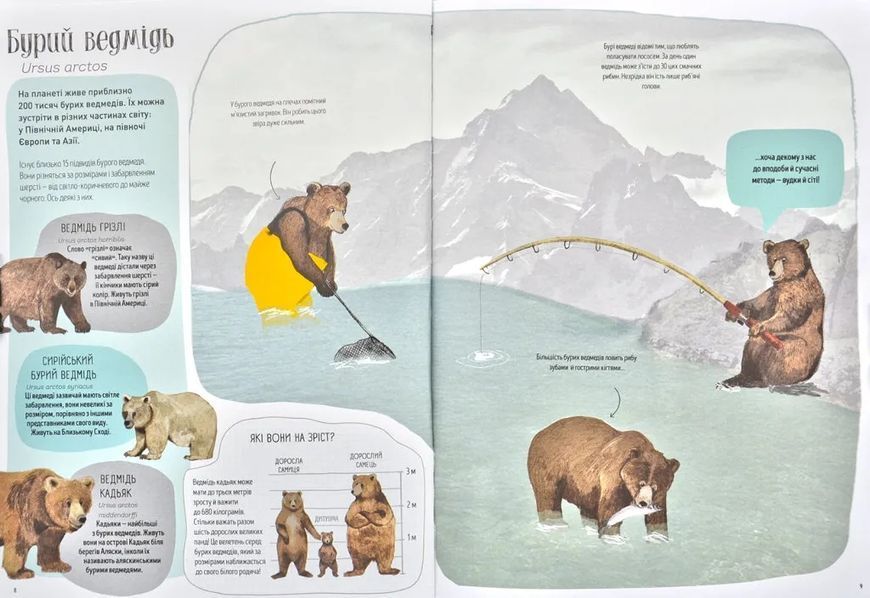 Ведмежа книга 1031171742 фото