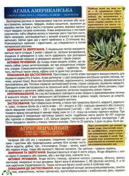 Повний атлас лікарських рослин. Глорія 1031128082 фото