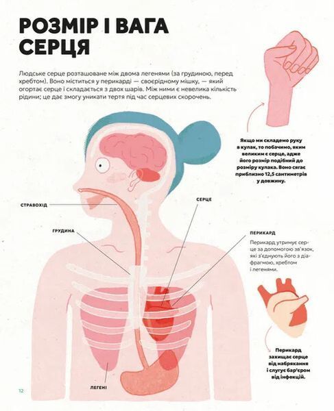 Серце. Історія, наука і багато любові 10311034444 фото