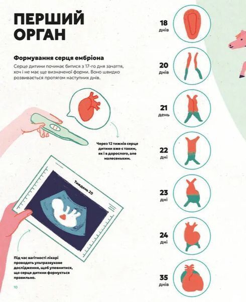 Серце. Історія, наука і багато любові 10311034444 фото