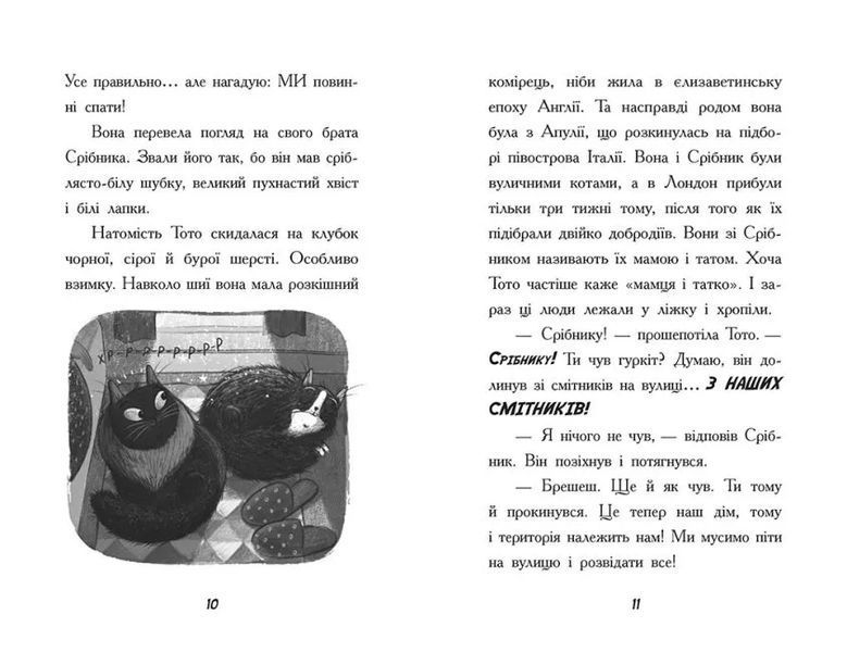 Тото. Кішка-ніндзя та велика втеча змія. Книга 1 10311015521 фото