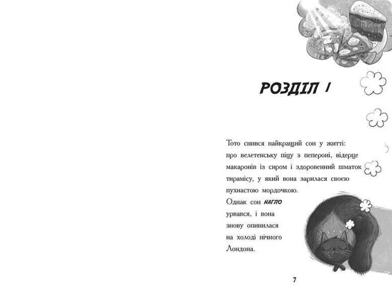 Тото. Кішка-ніндзя та велика втеча змія. Книга 1 10311015521 фото