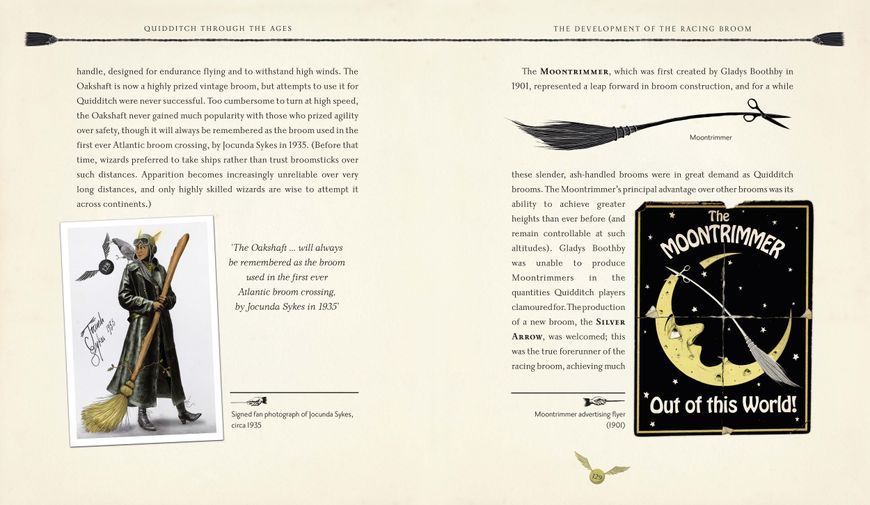 Quidditch Through the Ages Illustrated Edition 10311023559 фото