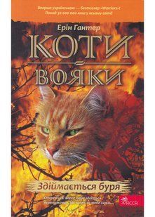 Коти-вояки. Здіймається буря. Пророцтва починаються. Книга 4 (м'яка обкладинка) 10311021666 фото