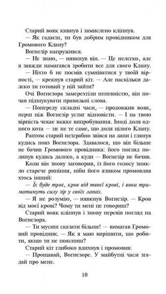 Коти-вояки. Сила трьох. Книга 1. Прозір 10311005662 фото