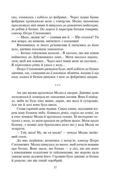 Розстріляне відродження. Бузько, Вишня, Влизько, Марко Вороний, Микола Вороний, Драй-Хмара, Єфремов, Зеров, Івасюк, Ірчан, Йогансен, Косинка, Липківський 10311021874 фото